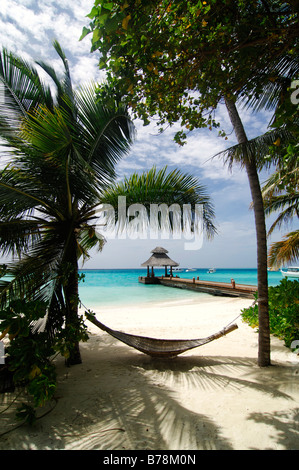 Hängematte zwischen zwei Palmen, Baros Resort, Malediven, Indischer Ozean Stockfoto