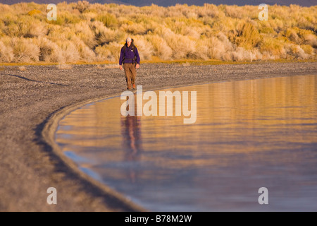 Ein Mann, Wandern entlang der Ufer des Mono Lake mit reflektierenden Wasser in Kalifornien Stockfoto