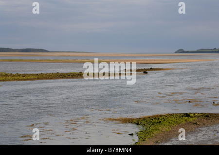 Newborough Warren National Nature Reserve Anglesey Wales Großbritannien Europa Stockfoto