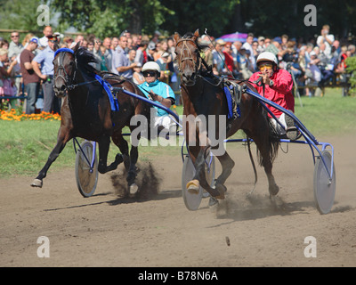 Kabelbaum Trotter Pferd Racing Veranstaltung in Tambow, Russland Stockfoto