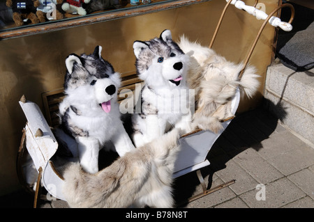 Gefüllte Huskies in ein Kind Schlitten außerhalb einer stöbern speichern, Esplanade, Helsinki, Finnland, Europa Stockfoto