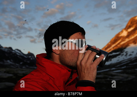 Wanderer, die von Moskitoes, Ikasartivaq-Fjord, überschwemmt Ost-Grönland, Grönland Stockfoto