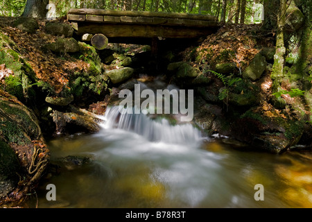 Deutschland, Bayerischer Wald, hölzerne Brücke über Brook Stockfoto