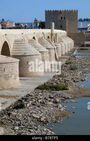 Puente Romano Brücke, mit dem Turm Torre De La Calahorra, Cordoba, Andalusien, Spanien, Europa Stockfoto