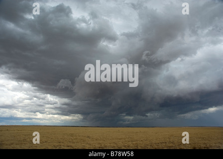 Massive Gewitterwolke bilden über Bauernhof Ernte Stockfoto