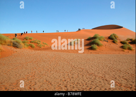 Eine Reihe von Touristen Klettern auf einer Düne am Sossusvlei Stockfoto
