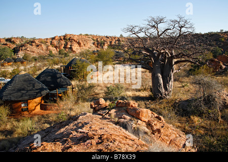 Strohgedeckten Rondawels im Leokwe Lager im Mapungubwe National Park Stockfoto