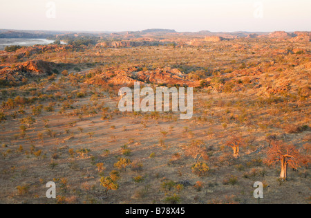 Malerische Aussicht auf den Limpopo River Valley und die Landschaft mit Baobabs im Mapungubwe National Park Stockfoto