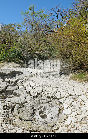 Vulkanische Mudpot in Rincon De La Vieja Nationalpark, Costa Rica, Zentralamerika Stockfoto