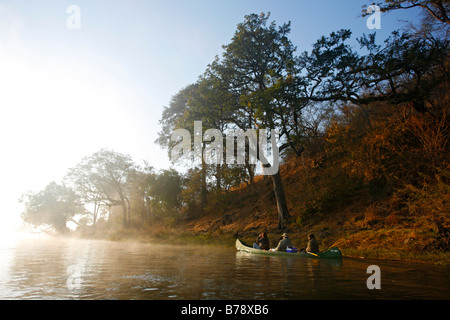 Mit flachem Boden Kanu Treiben am Flussufer entlang auf dem Zambezi River in der Morgendämmerung an einem nebligen Morgen Stockfoto