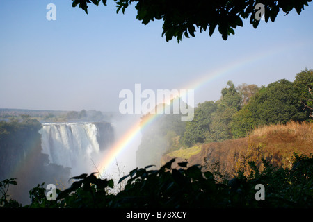 Viktoriafälle am Sambesi mit einem Regenbogen und üppigen Regenwald im Vordergrund Stockfoto