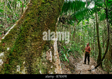 Wanderer im Regenwald auf Fraser Island, Queensland, Australien Stockfoto