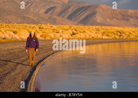 Ein Mann, Wandern entlang der Ufer des Mono Lake mit reflektierenden Wasser in Kalifornien Stockfoto