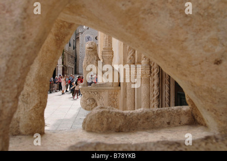 Löwe, Seiteneingang, Katedrala Sveti Jakov, Kathedrale von St. James, historisches Stadtzentrum, Sibenik, Kroatien, Europa Stockfoto