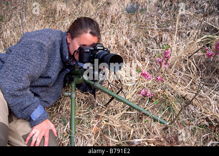 Natur-Fotograf bei der Arbeit im Frühjahr, Nord-Tirol, Österreich, Europa Stockfoto