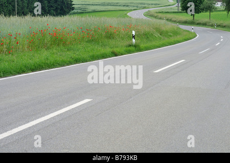 Deutschland, Baden Württemberg, Mohnfeld in der Nähe von Straße Stockfoto