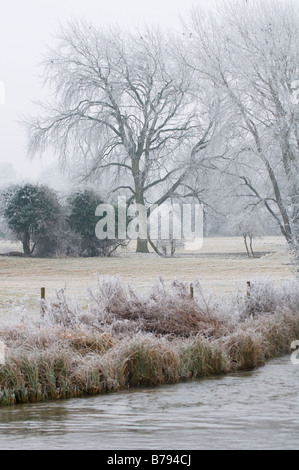 Raureif an den Ufern des Flusses Tests Stockfoto