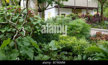 National Orchid Garden, Singapur Stockfoto
