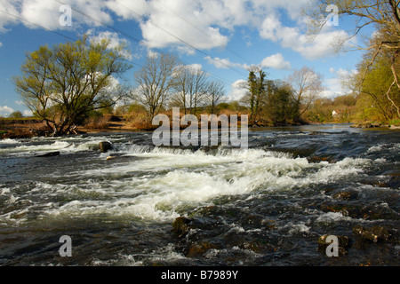 Der Fluss Taff im Radyr am Stadtrand von Cardiff in Frühling, South Wales, UK Stockfoto