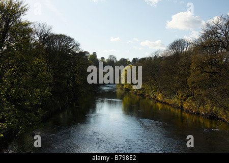 Der Fluss Taff im Radyr, Cardiff, Südwales, Vereinigtes Königreich Stockfoto