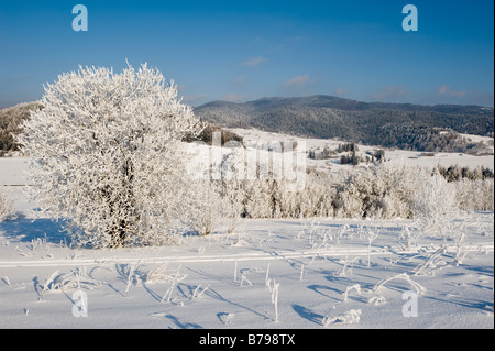 Ländliche Landschaft bedeckt im Schnee Tatra Gebirge Podhale Region Polen Stockfoto