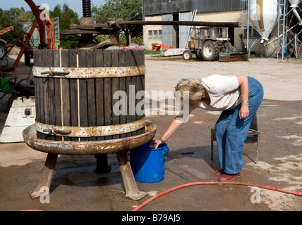 Frau nimmt frischen Traubensaft gepresst Stockfoto