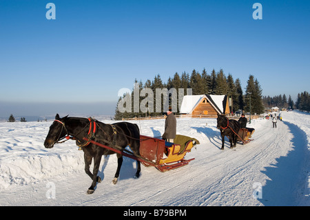 Menschen genießen Sie die Fahrt in gezeichneten offenen Pferdeschlitten auf Gubalowka Hill Zakopane Tatra Gebirge Podhale Region Polen Stockfoto