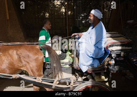 Luxor, Ägypten, Nordafrika. Caleche fahren durch den Basar Stockfoto