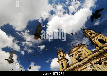 Tauben fliegen vor der Kathedrale in Bogota, Kolumbien. Stockfoto