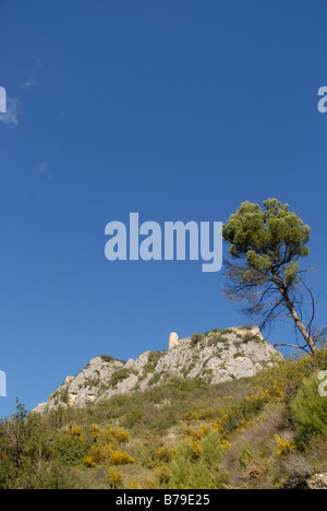 Ruinen der maurischen Burg auf Kalkstein, Vall de Gallinera, Marina Alta, Comunidad Valenciana, Provinz Alicante, Spanien Stockfoto