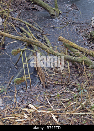 Aufgegeben von Einkaufswagen in einem gefrorenen Graben Stockfoto