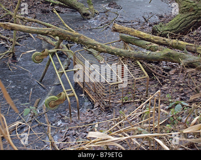 Aufgegeben von Einkaufswagen in einem gefrorenen Graben Stockfoto