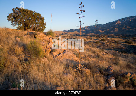 Rincon Mountains in der Nähe von Tucson Arizona von Reddington Rd aus gesehen Stockfoto