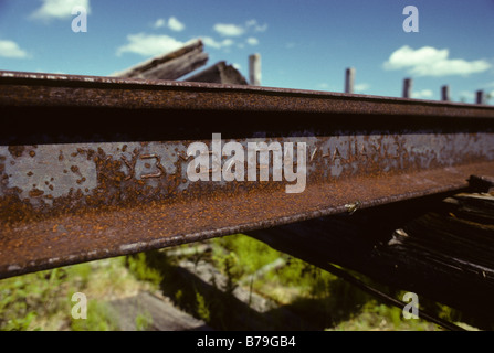 Verfolgen von der Salechard-Igarka Eisenbahn, Stalins "Death Railway" oder "Railway to nowhere" im nördlichen Sibirien. Stockfoto