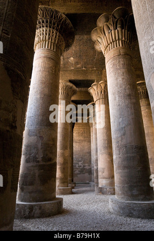 Spalten in der Säulenhalle im Tempel des Chnum in Esna, Ägypten Stockfoto