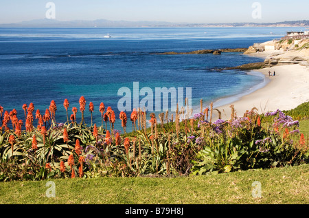 Ein Blick auf einen Strand in der Nähe von Kinder Pool in La Jolla, Kalifornien. Stockfoto