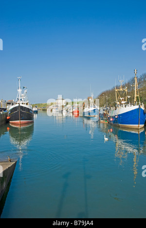 Angelboote/Fischerboote in Eyemouth Hafen Scottish Borders Stockfoto