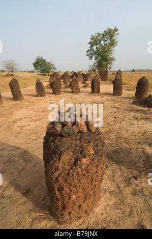 Wassu Stone Circles (Gambia) Stockfoto