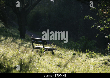 eine Bank im Land Stockfoto