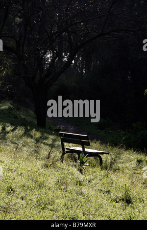 eine Bank im Land Stockfoto