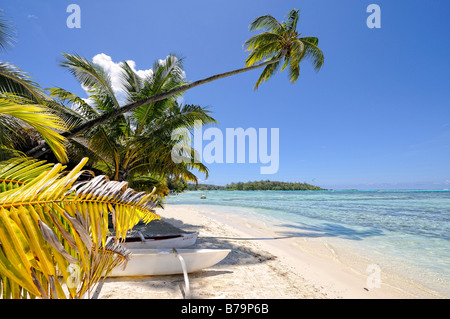 Strand in Moorea, Französisch-Polynesien Stockfoto