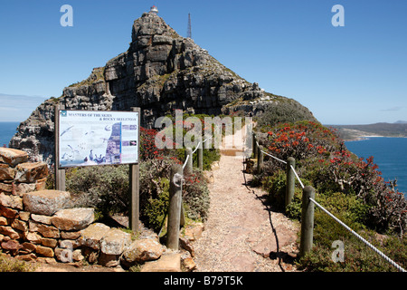 Rückblick auf Leuchtturm Halter Wanderung in Richtung der alten Leuchtturm Kap der guten Hoffnung Natur Reservat Südafrika Stockfoto