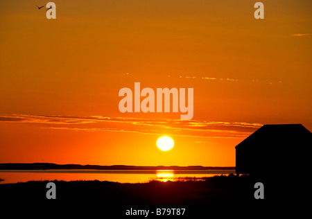 Sonnenaufgang über dem Salz Teich mit Bootshaus Silhouette Eastham Cape Cod MA USA Stockfoto