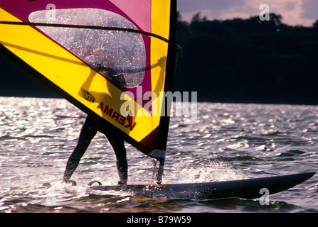 WINDSURFEN AM LAKE CALHOUN IM HERZEN VON MINNEAPOLIS, MINNESOTA. SOMMER. Stockfoto