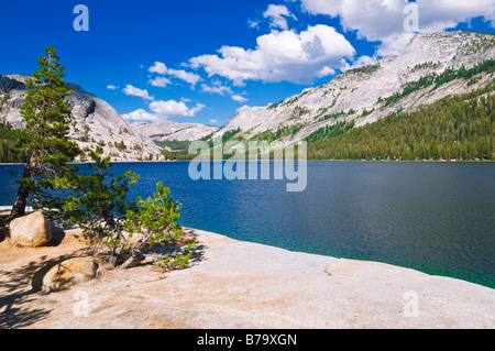 Tenaya Lake Tenaya Peak Tuolumne Meadows Bereich Yosemite National Park in Kalifornien Stockfoto