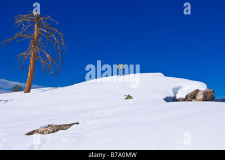 Backcountry Skifahrer an Taft Point Yosemite National Park California Stockfoto