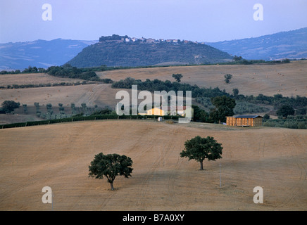 San Angelo in Colle, vorne geerntet Weizenfelder nahe Cinigiano, Provinz Grosseto, Toskana, Italien, Europa Stockfoto