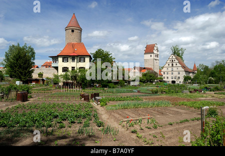 Gemüsegärten entlang Stadt Wand, Salwartenturm Turm, Nördlinger Tor Tor, Stadtmühle, Dinkelsbühl, Mittelfranken, Bavari Stockfoto