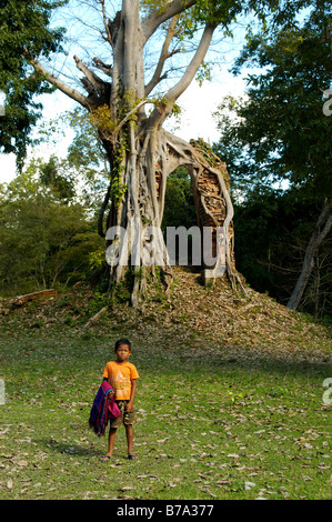 Kleiner Junge vor überwachsen, verworrenen Baum, Prasat Yeay Peau, Sambor Prei Kuk nahe Kompong Thom, Kambodscha, Südostasien Stockfoto