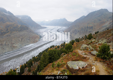 Aletschgletscher, gröberen Aletschgletschers, Herz der UNESCO World Heritage Site Jungfrau-Aletsch-Bietschhorn, Goms, Wallis, Schweiz Stockfoto